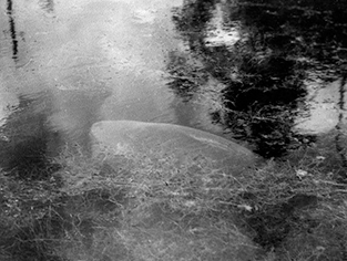Untitled image
