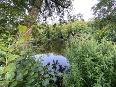 Untitled image