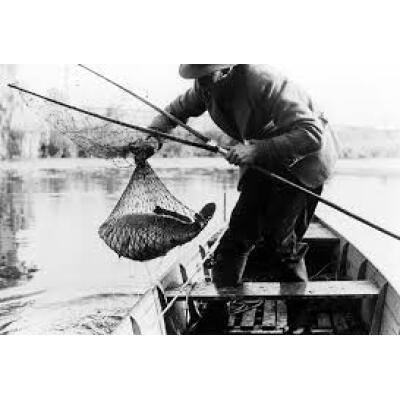 Dick Walkers Carp Rod