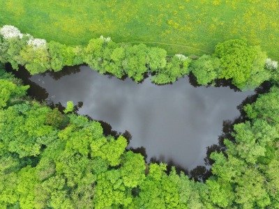 Untitled image